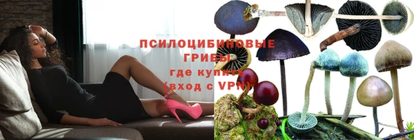 трава Абаза
