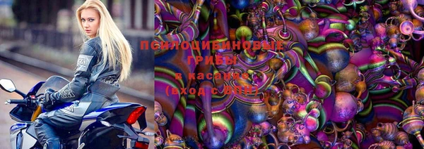 трава Абаза